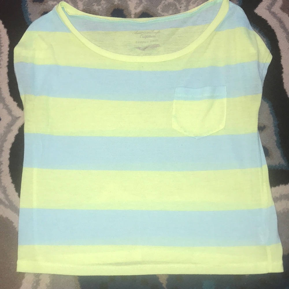American Eagle Crop Top